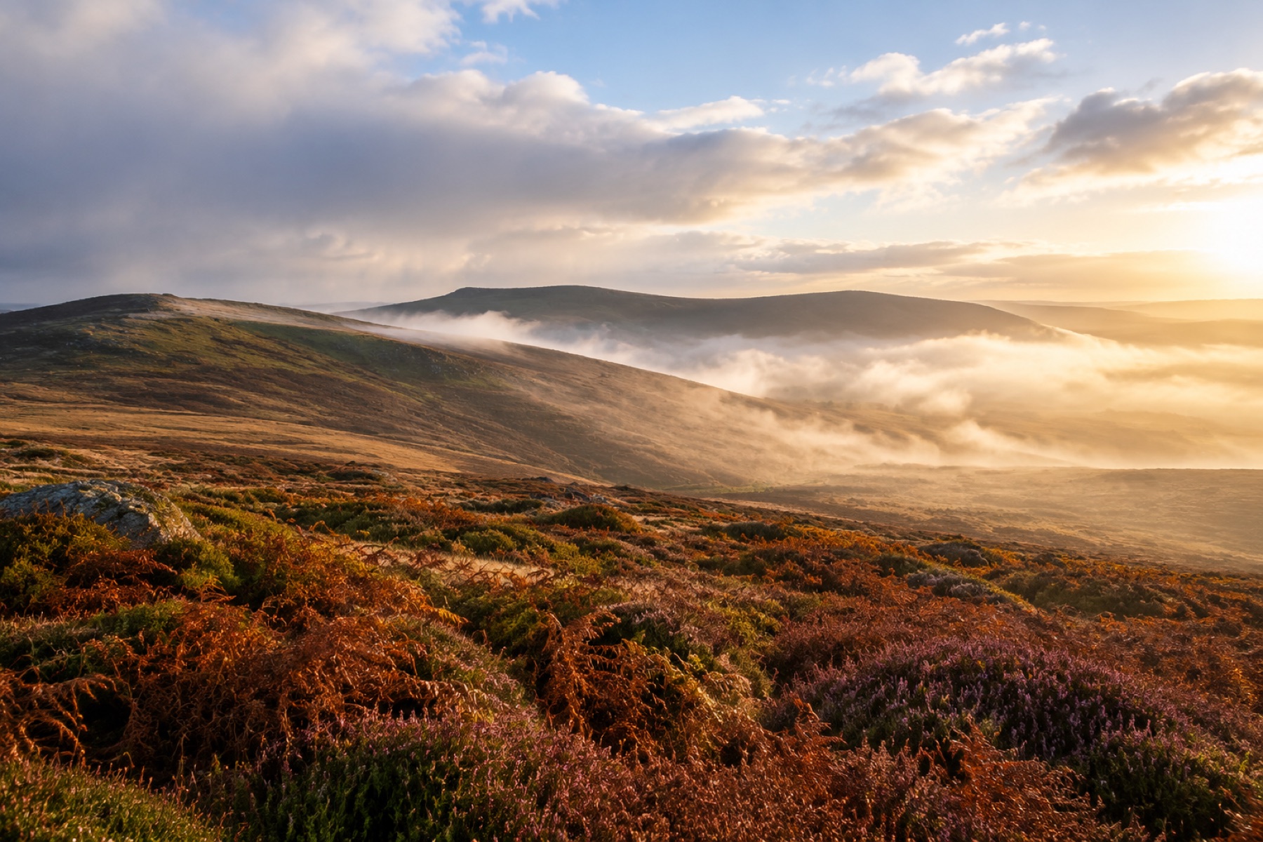 Moorland ridge in morning mist